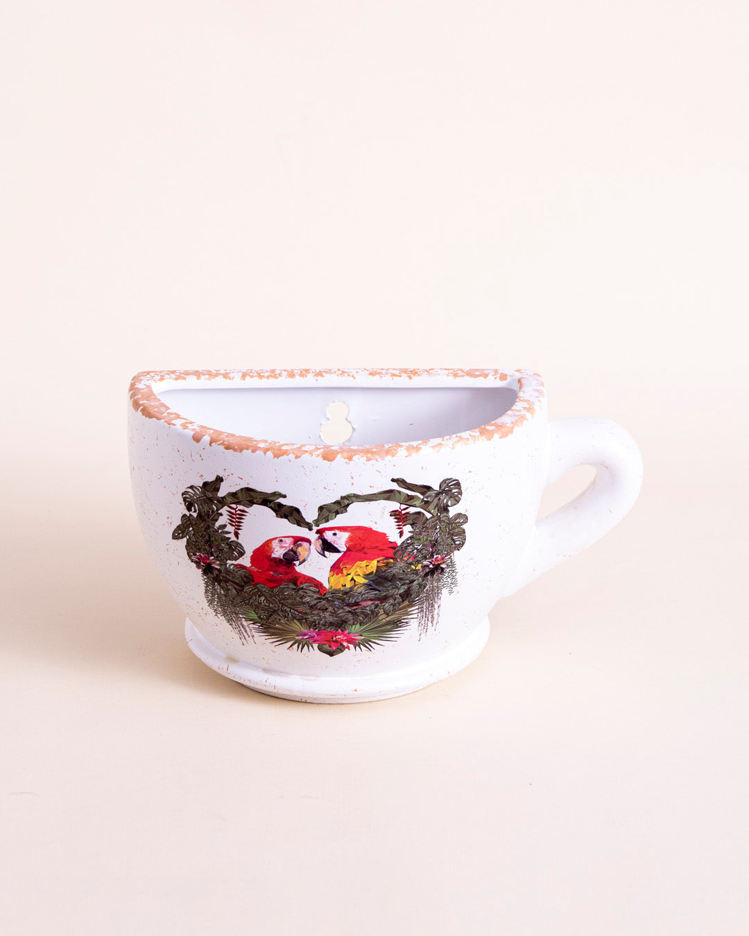 'Macaw Parrot' The Cup Wall Planter