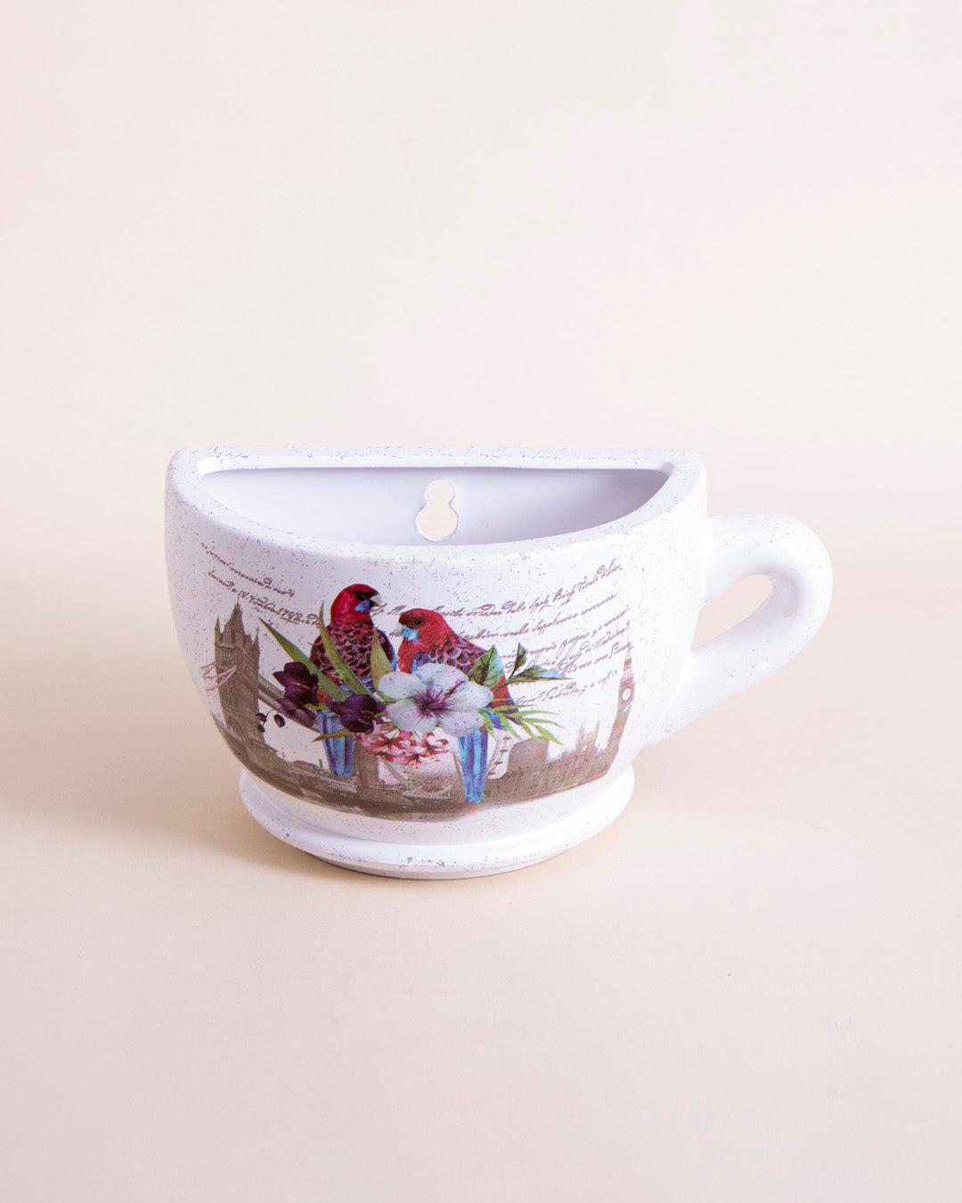 'Rosella Parrot' The Cup Wall Planter