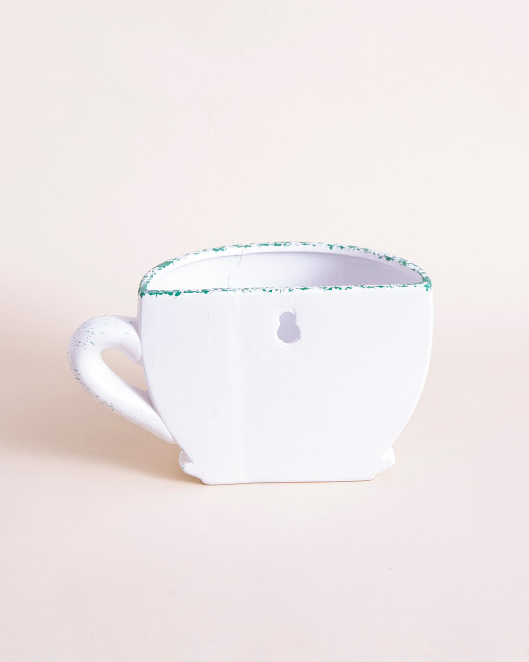 'Toco toucan' The Cup Wall Planter