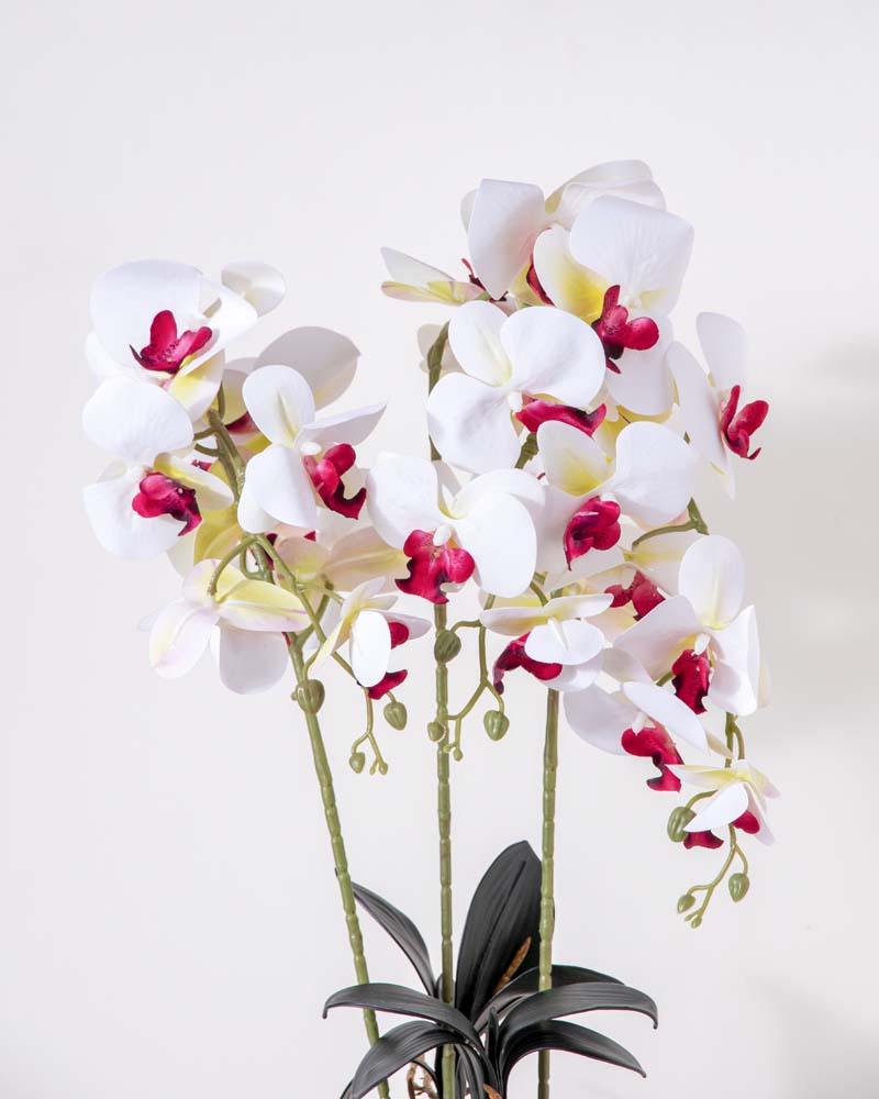Classic White Orchid Artificial Flower Arrangement