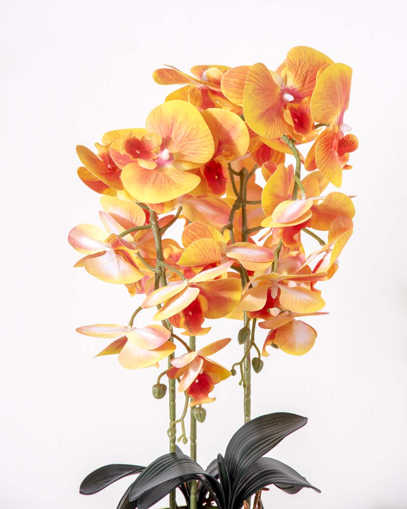 Golden Sunset Orchid Artificial Flower Arrangement