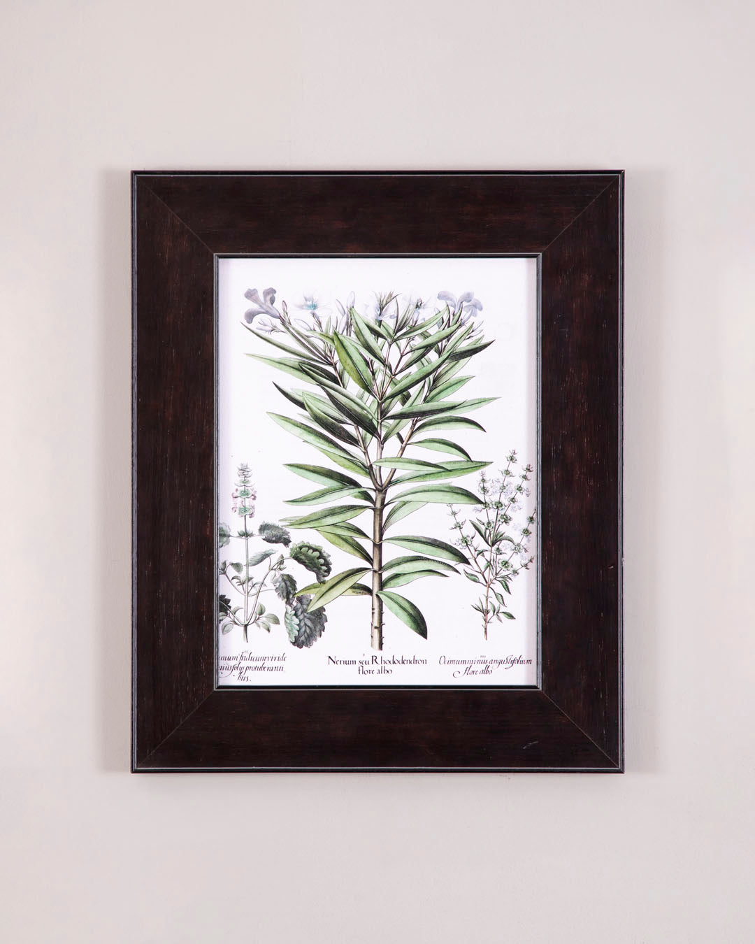 Basil Or Rhododendron Pants