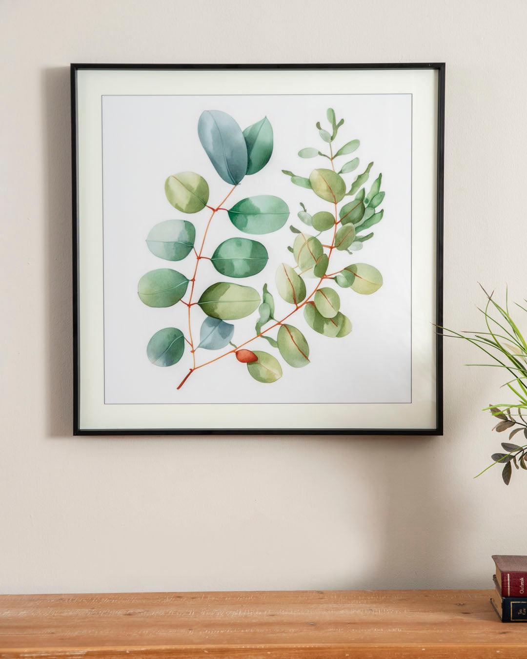 Eucalyptus Green Plant
