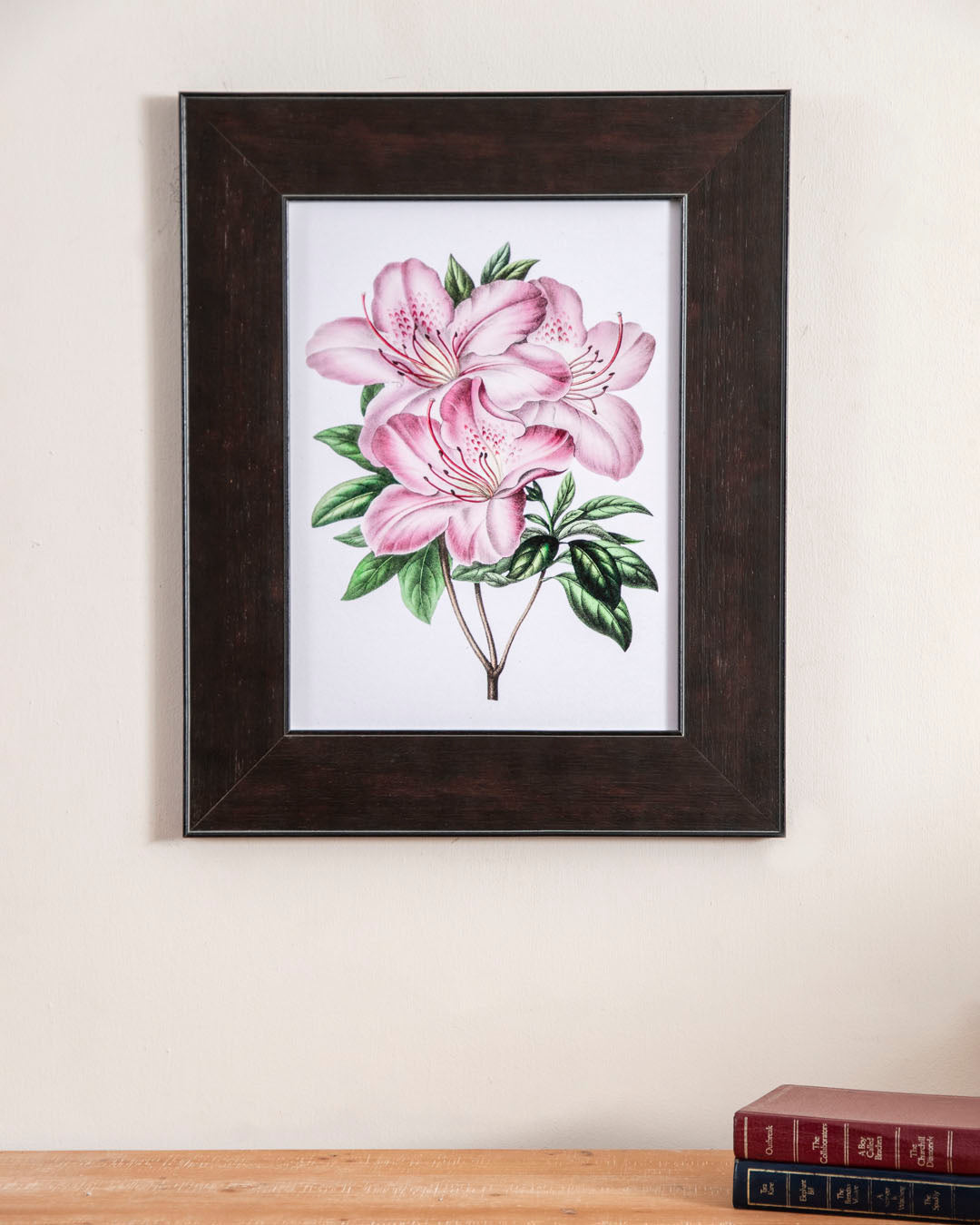 Pink Azalea Flower
