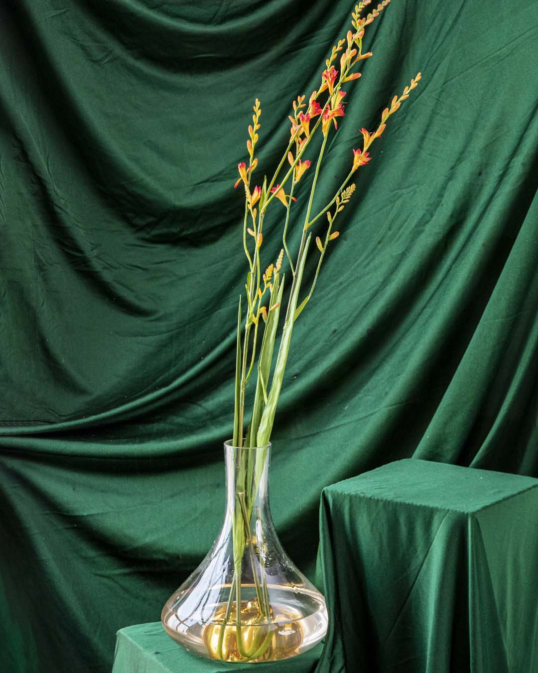 'Watsonia borbonica' Decorative Faux Flower Stick - Orange