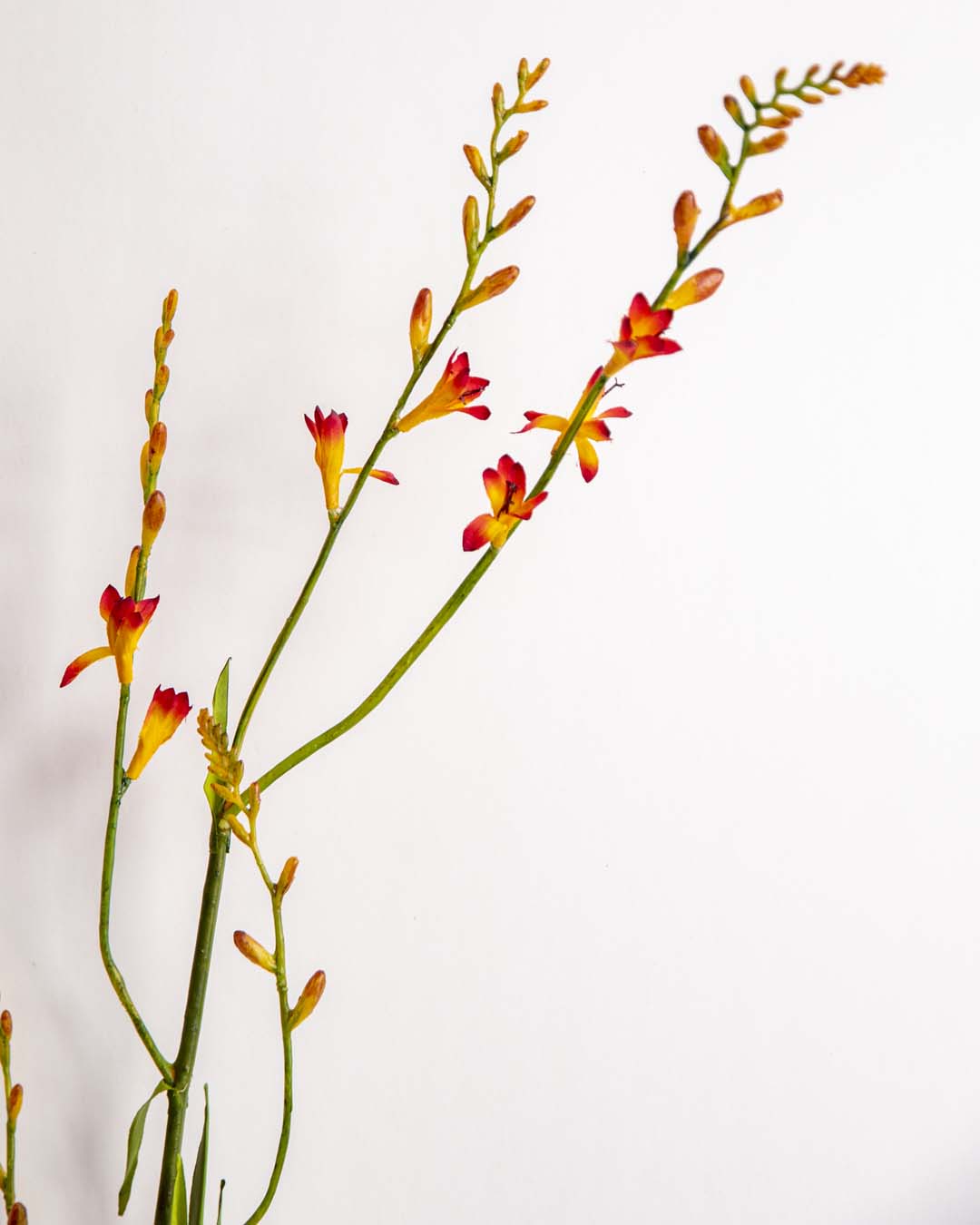 'Watsonia borbonica' Decorative Faux Flower Stick - Orange