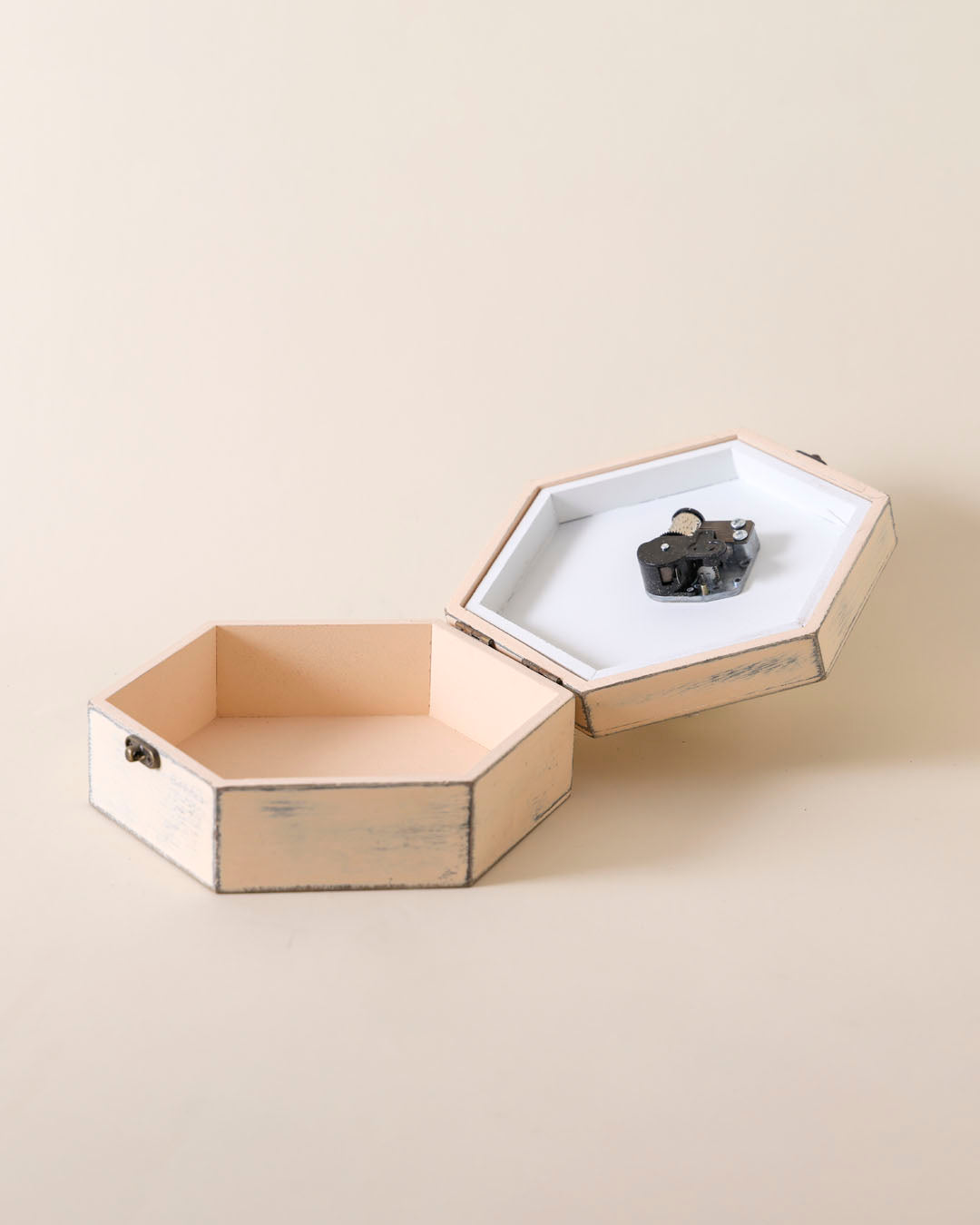 Timeless Bird - Musical Box
