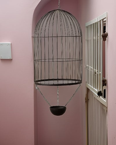 Decorative Hanging Cage Planter - Large - The Decor Kart
