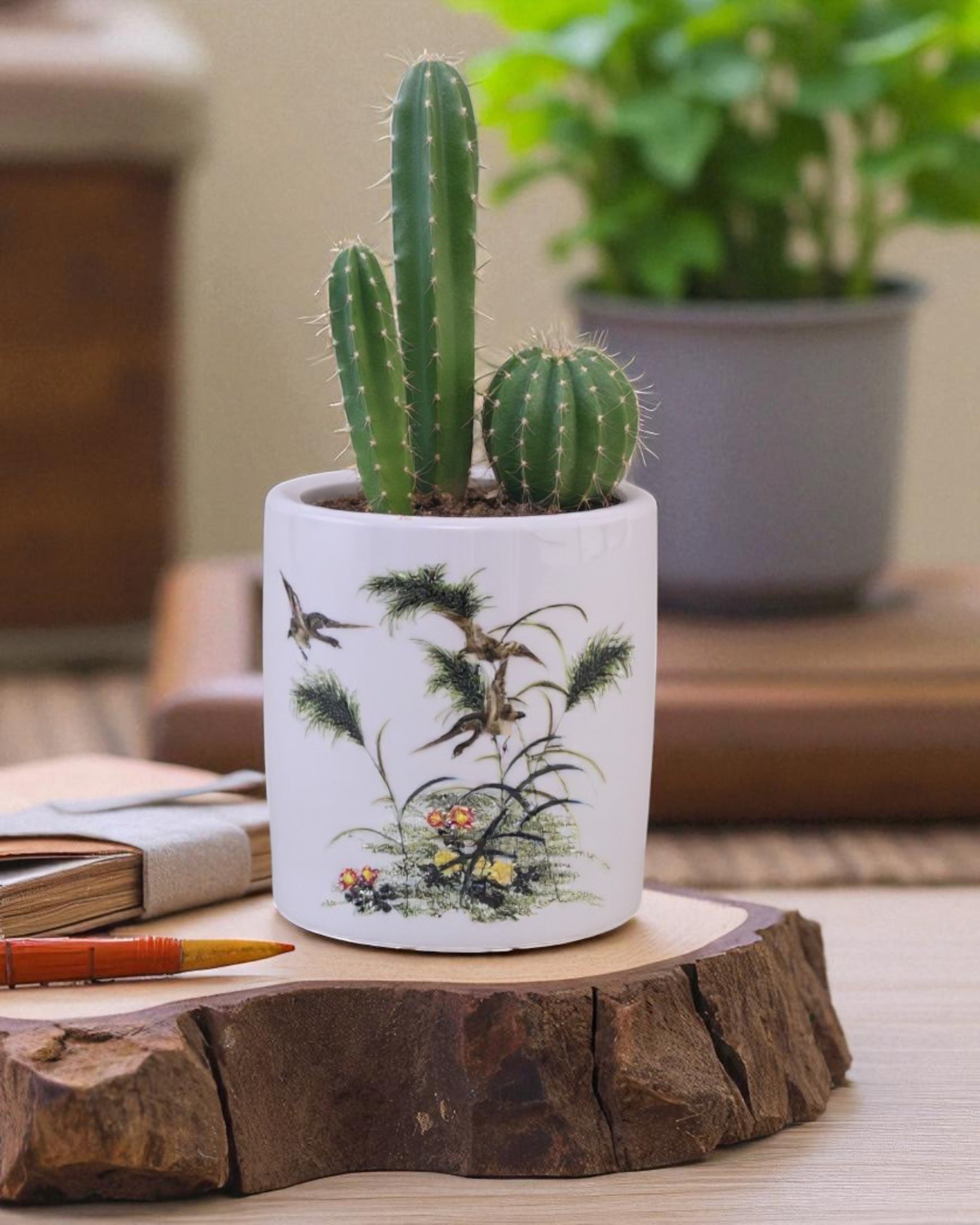Nature Harmony Ceramic Planter