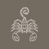 Scorpio Zodiac Mug - Brown