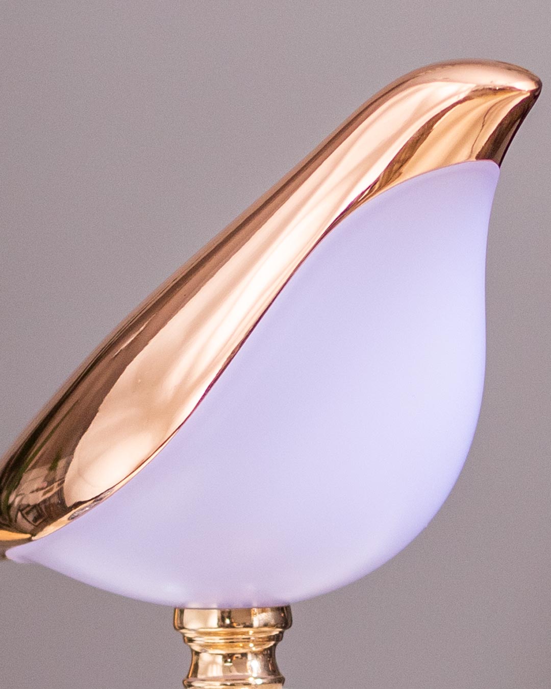 Aves Bird Ambient Desk Lamp - The Decor Kart