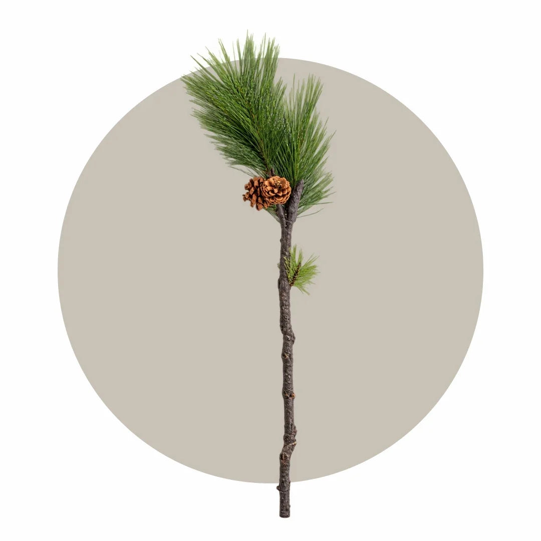 Faux Sticks & Branches