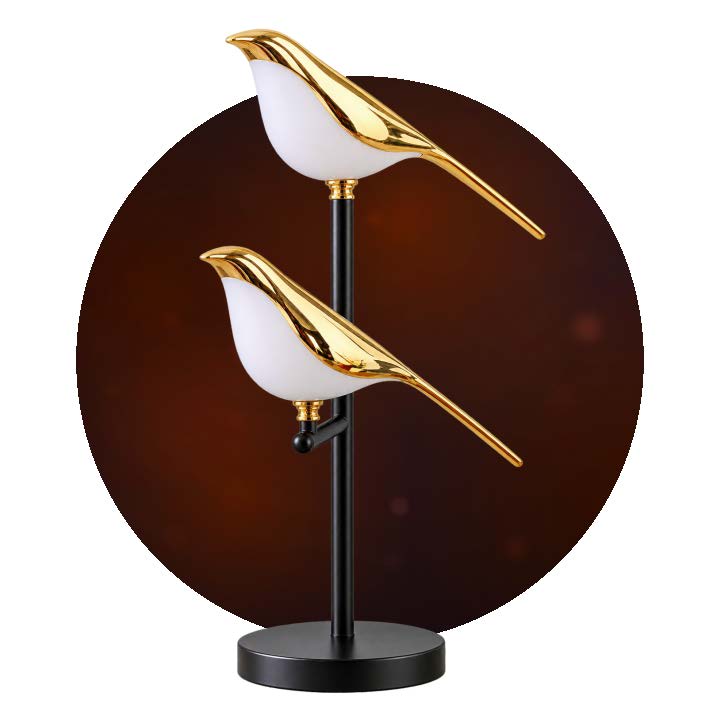 Desk & Study Lamps