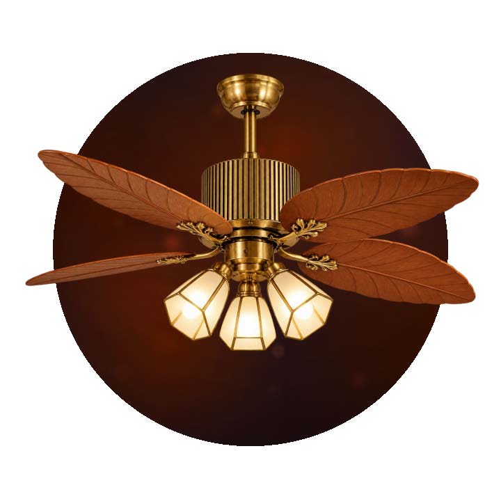 Fan Lights