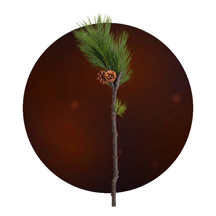 Faux Sticks & Branches