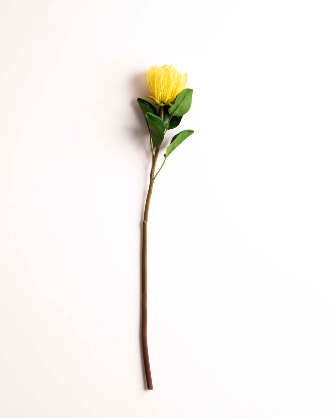 'Pincushion Flower' Decorative Faux Flower Stick - Yellow 