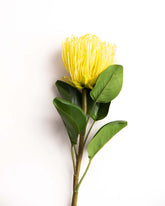 'Pincushion Flower' Decorative Faux Flower Stick - Yellow 