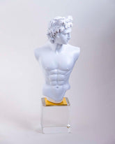 Michelangelo David Bust on Glass Cube - White 