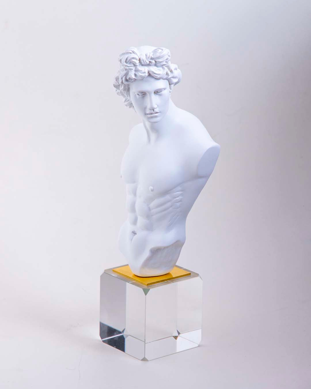 Michelangelo David Bust on Glass Cube - White 