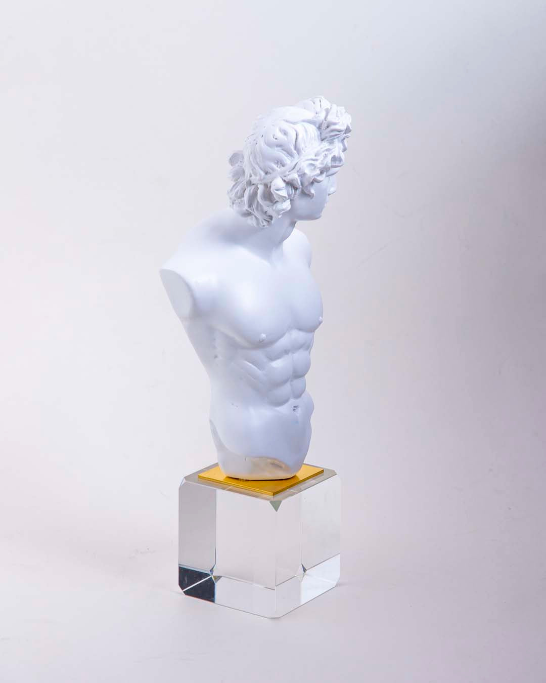 Michelangelo David Bust on Glass Cube - White 