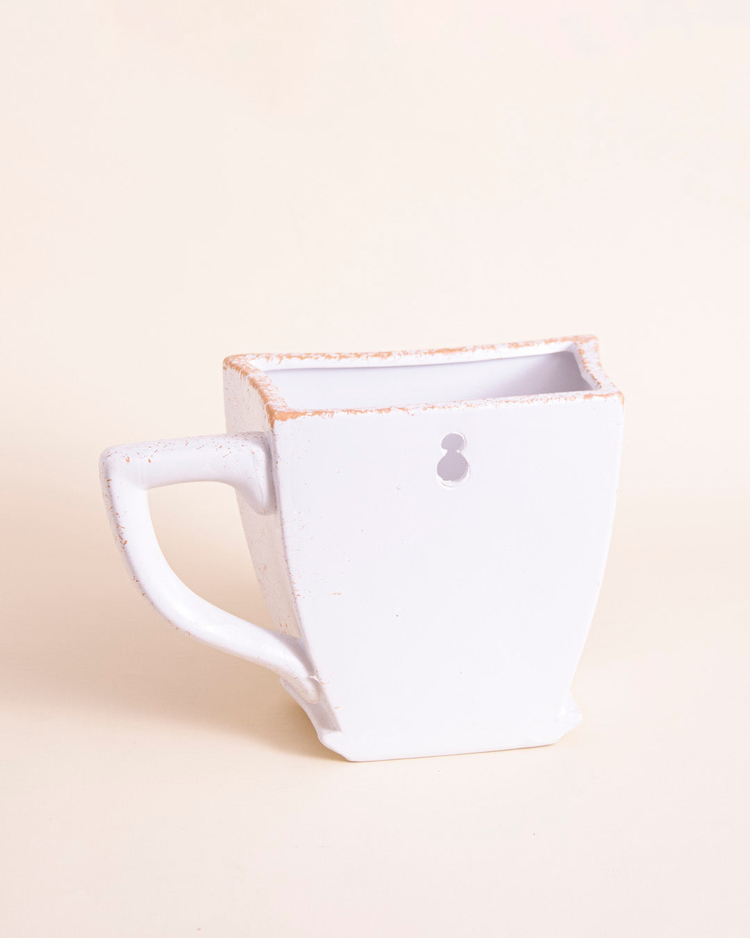 The Cup - Ceramic Wall Planter 