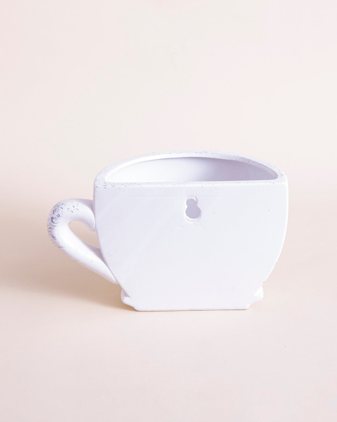 'Toucan Bird' The Cup Wall Planter 