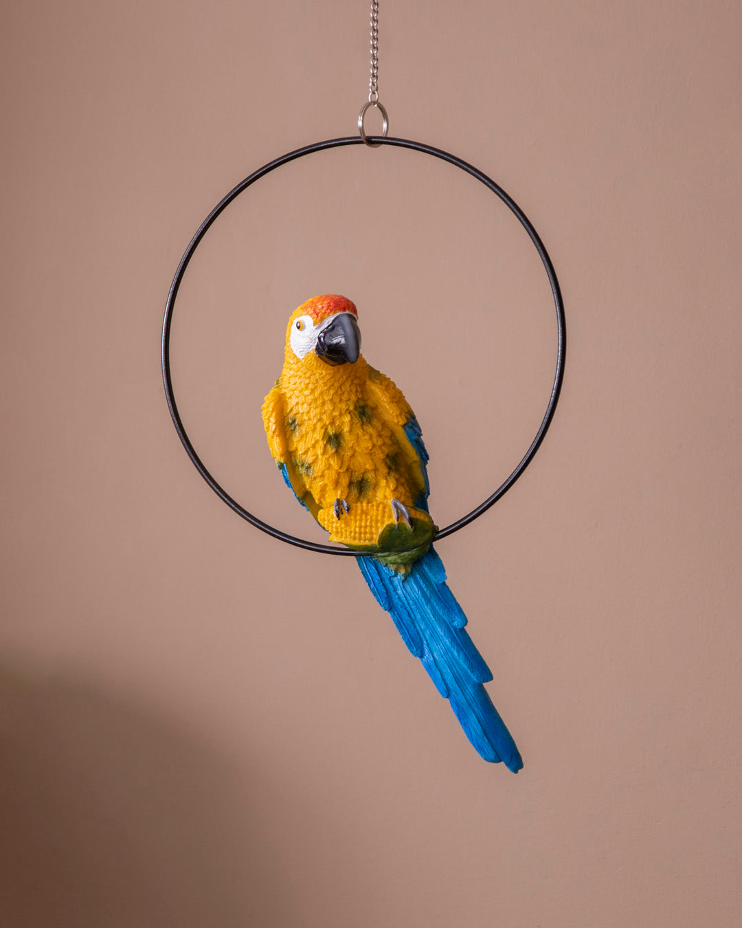 Decorative Ring Hanging Macaw Parrot 