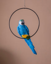 Decorative Ring Hanging Macaw Parrot 