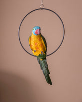Decorative Ring Hanging Macaw Parrot 