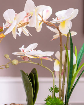 Orchid Artificial Flower Arrangement - White