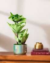 Green Tulip Artificial Flower Arrangement 