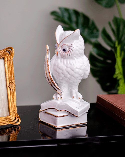 Wise Words: White Owl Figurine Perched on Books" - The Decor Kart
