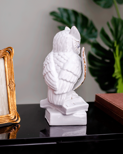 Wise Words: White Owl Figurine Perched on Books" - The Decor Kart