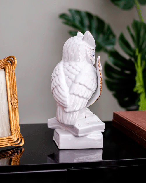 Wise Words: White Owl Figurine Perched on Books"