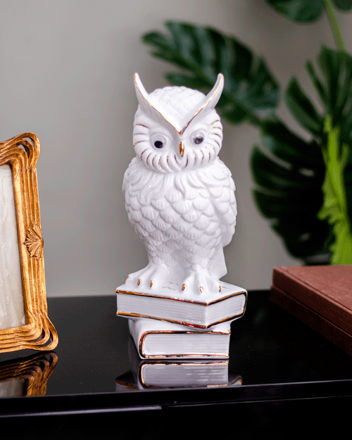 White Owl Figurine Poised on Books - The Decor Kart
