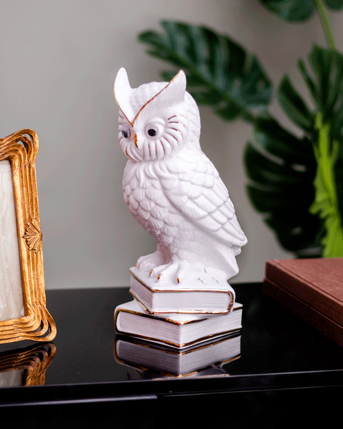 White Owl Figurine Poised on Books - The Decor Kart