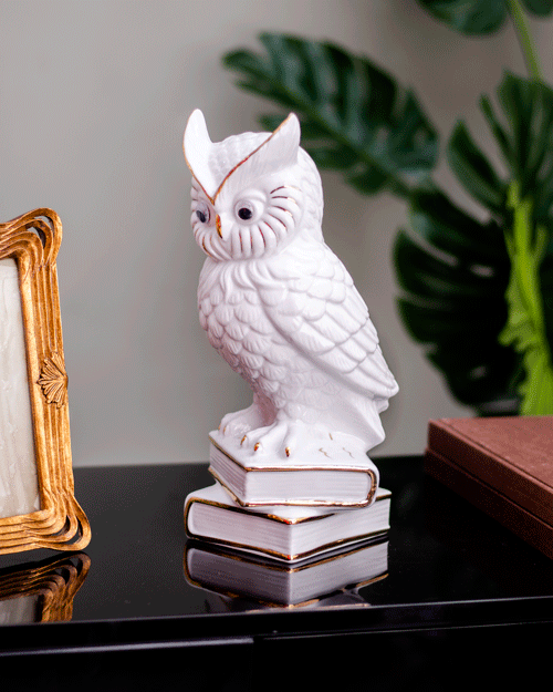White Owl Figurine Poised on Books