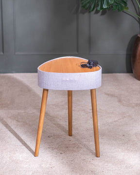 Functional and Stylish: The Speaker Table