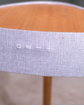 Functional and Stylish: The Speaker Table
