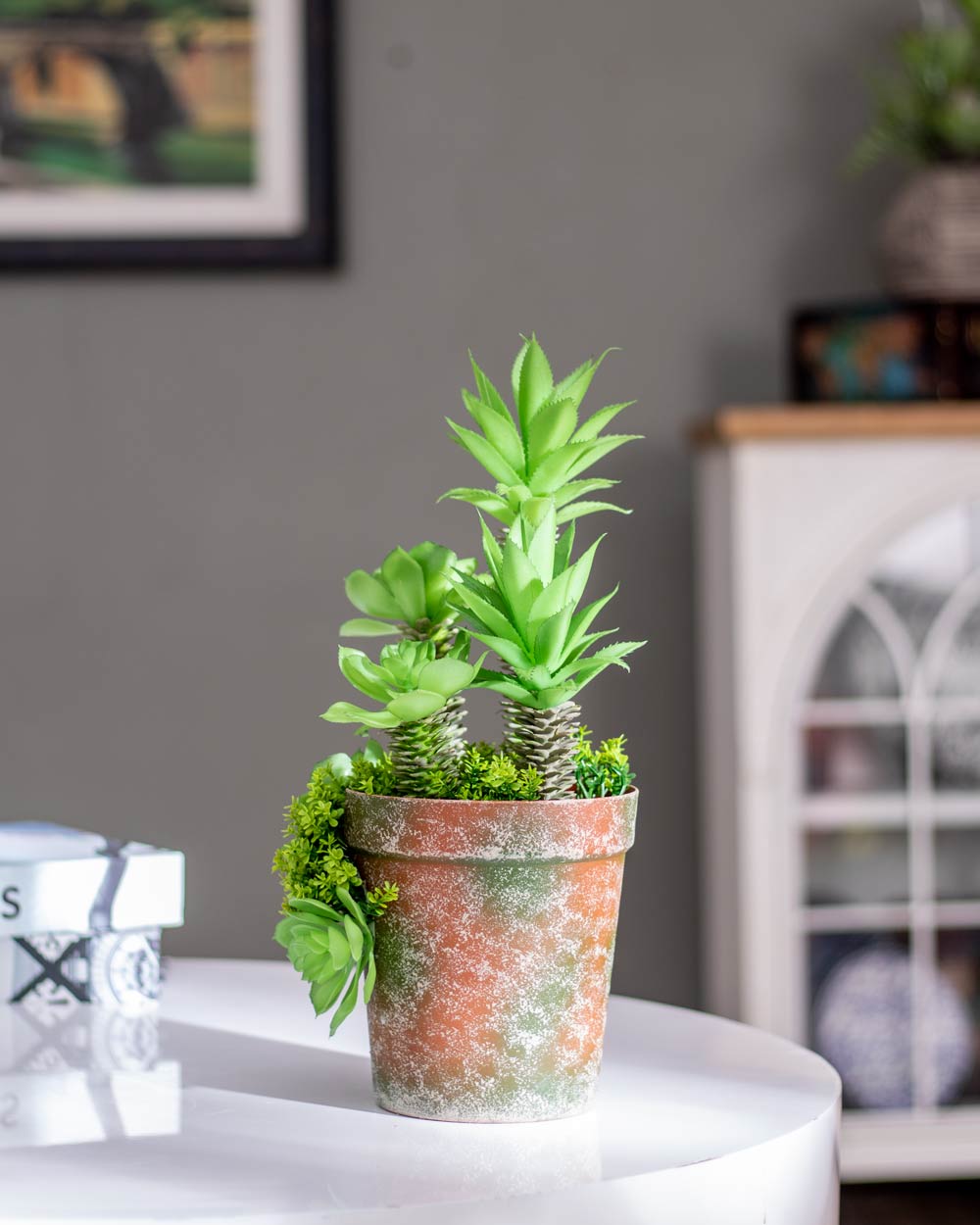 Artificial Succulents Plants With Cement Pot