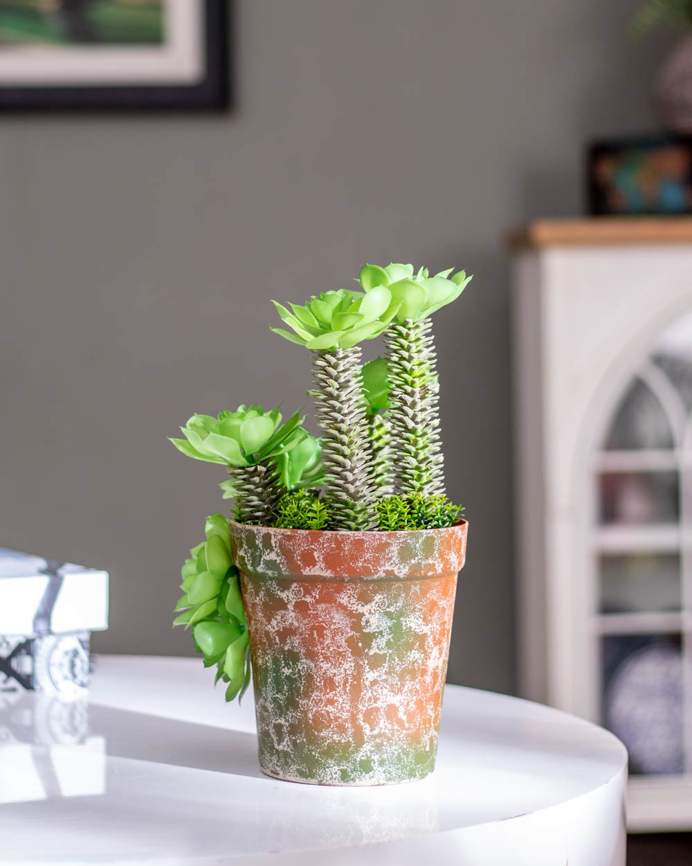 Artificial Succulents Plants With Cement Pot