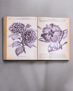 'Botanical' Open Book Wall Accent
