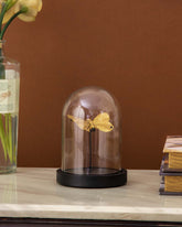 Butterfly Glass Dome - Small 