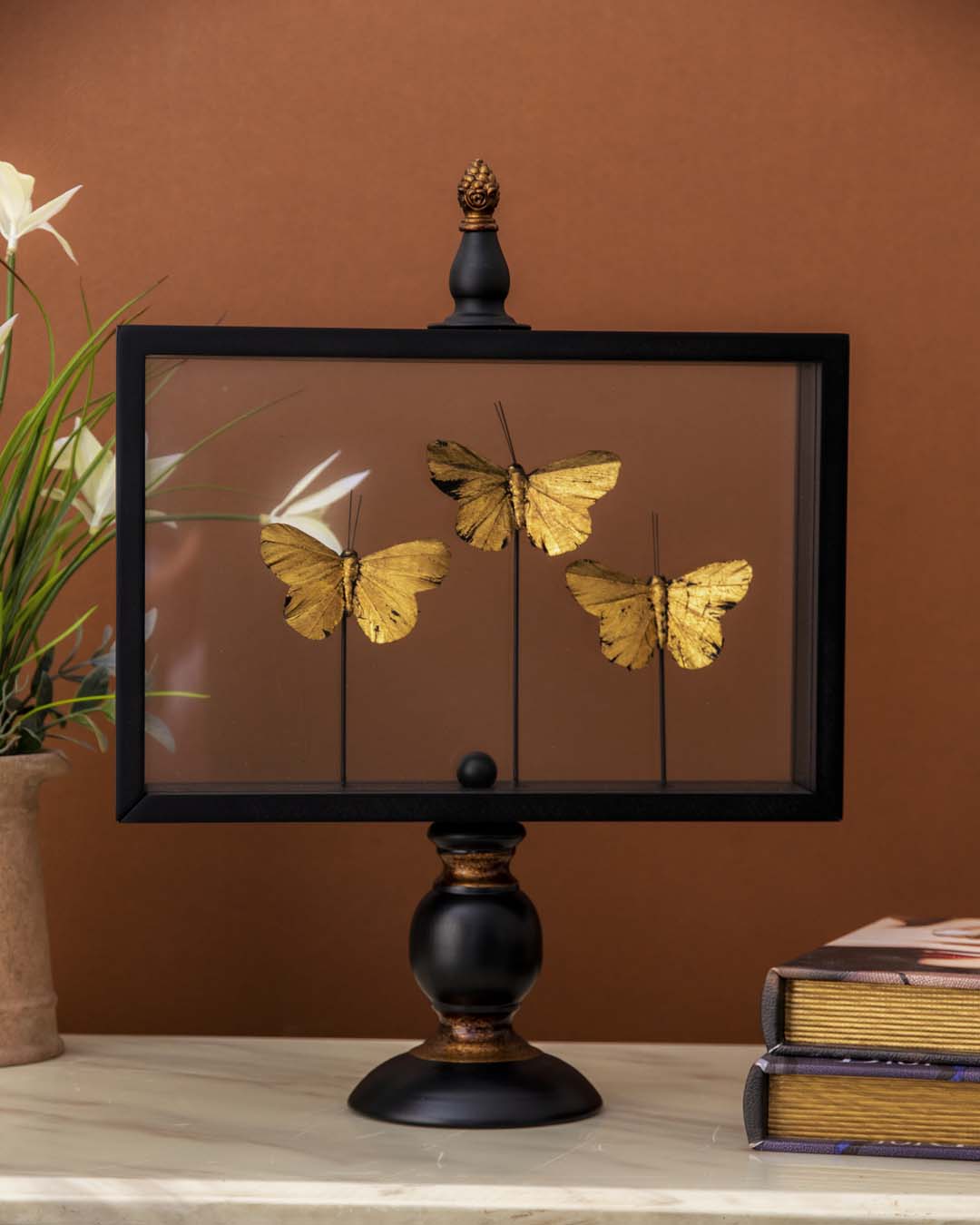 Butterfly Glass Display - Large 