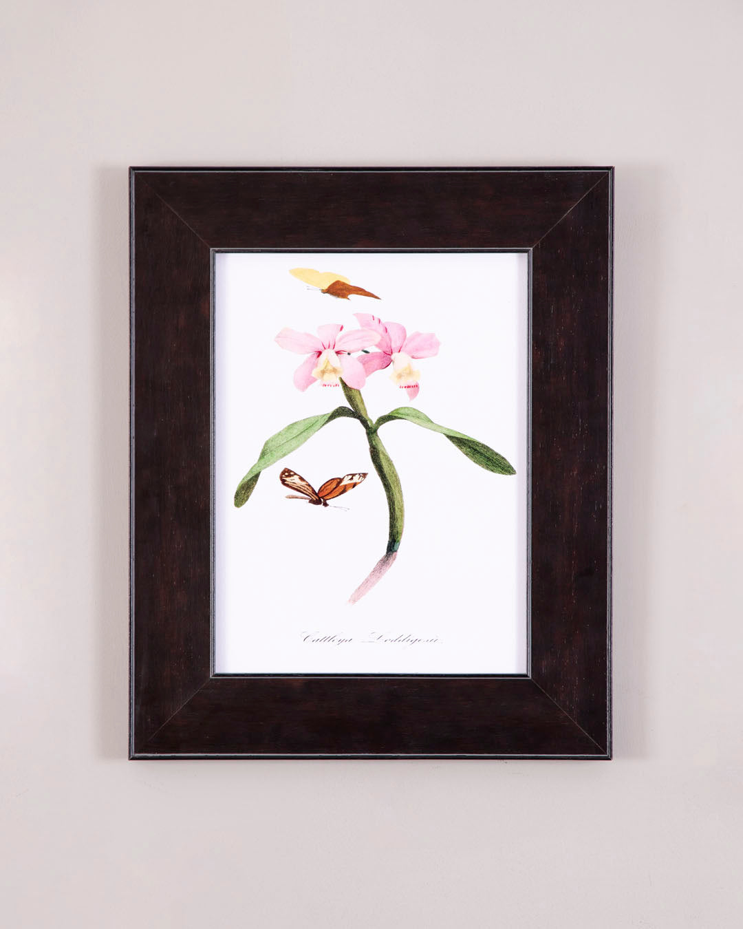 Pink Bloom with Butterflies 