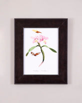 Pink Bloom with Butterflies 