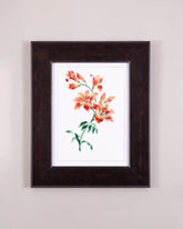 Blossoming Orange Lilies 