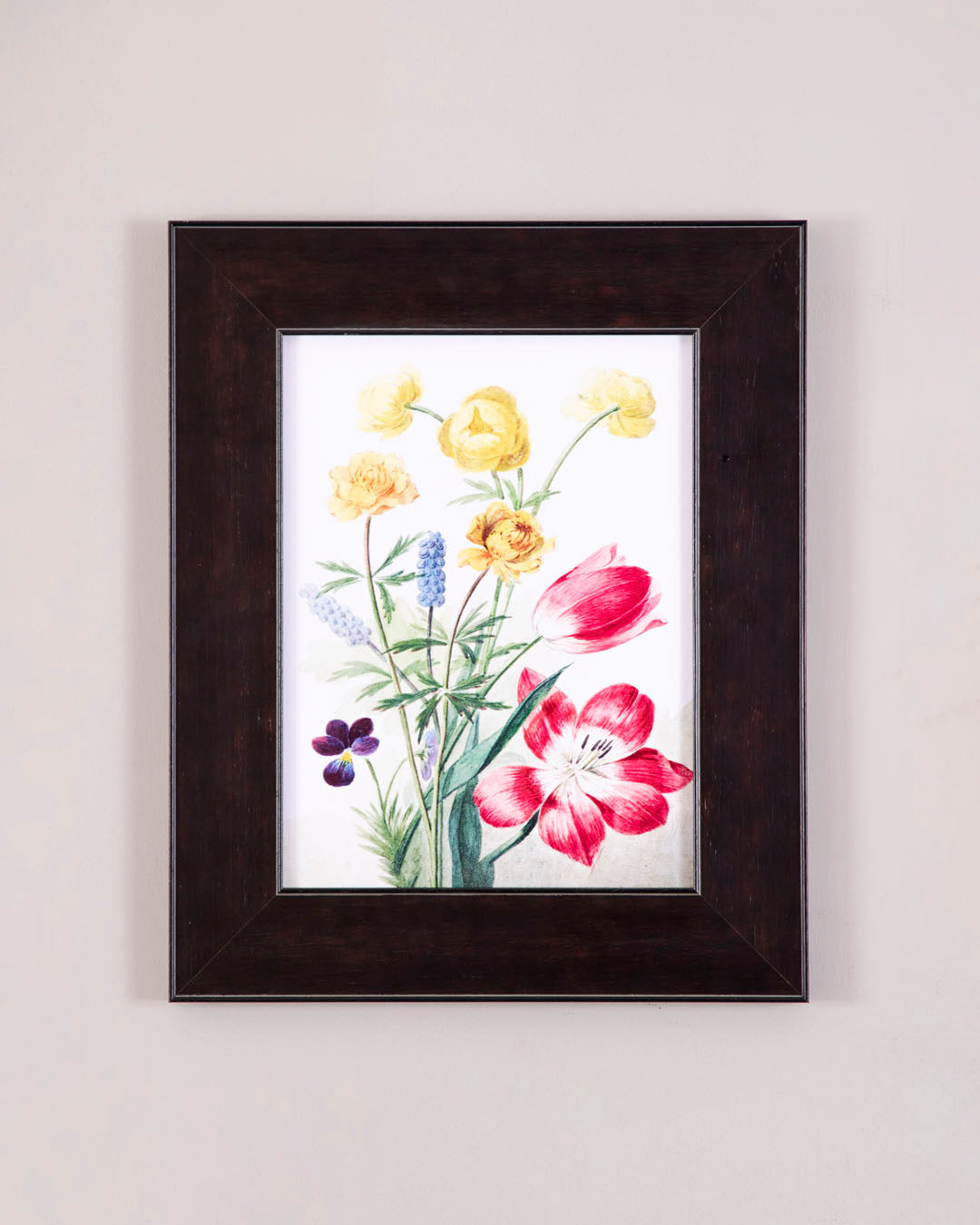 Bouquet Of Tulips 