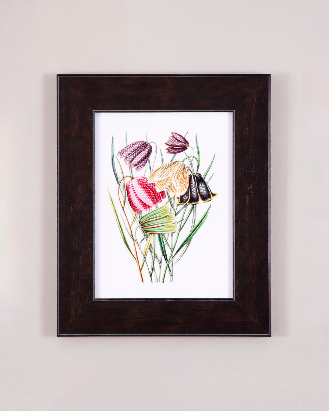 Familiar Wild Flowers 