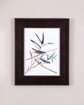 Solitary Flycatcher Bird 